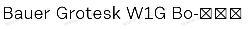 Bauer Grotesk W1G Bo字体转换